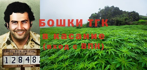 индика Михайлов