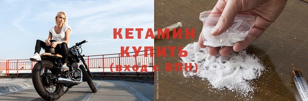 индика Михайлов