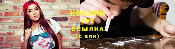 индика Михайлов
