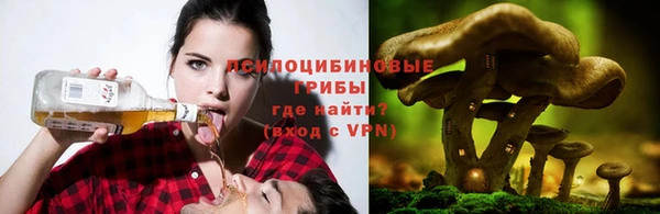 индика Михайлов