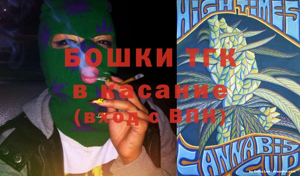 индика Михайлов