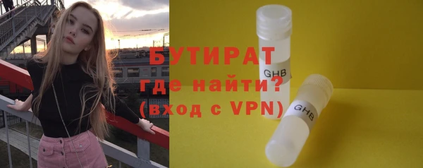 индика Михайлов