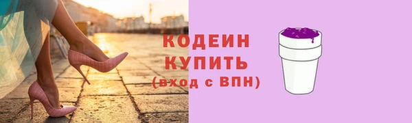 индика Михайлов