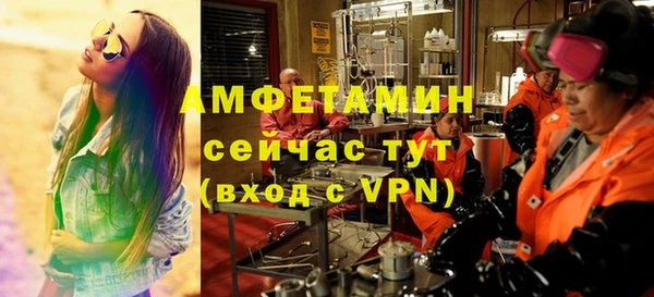 индика Михайлов
