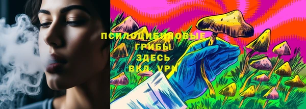 2c-b Михайловск