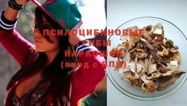 индика Михайлов