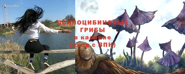 соль ск Михайловка