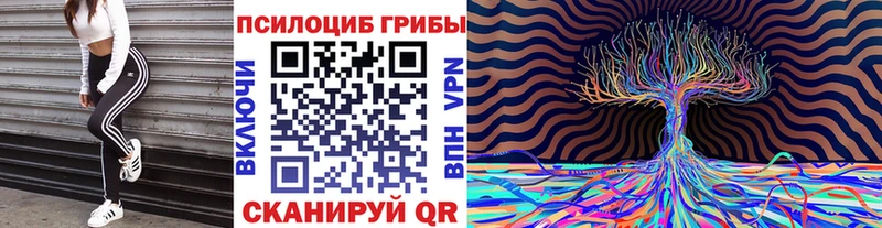 Купить закладки  Микунь  Псилоцибиновые грибы ЛСД 